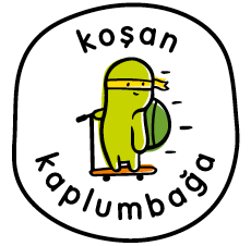 Koşan Kaplumbağa